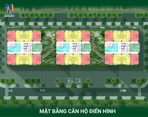 Mặt bằng căn hộ nhà ở xã hội Kim Hoa 