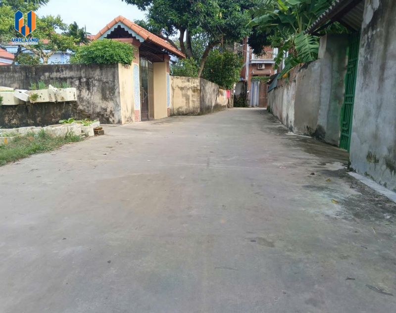 dat-nen-quang-minh-me-linh (2)