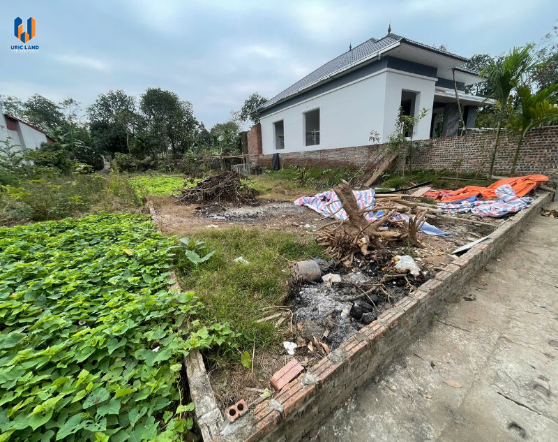 dat-nen-yen-lac-vinh-phuc-sp47 (1)