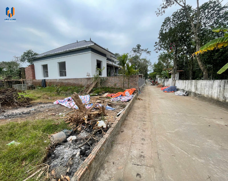 dat-nen-yen-lac-vinh-phuc-sp47 (4)